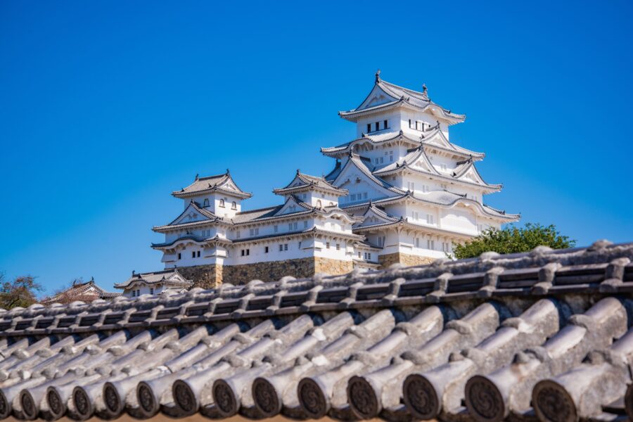 AdobeStock_549234299